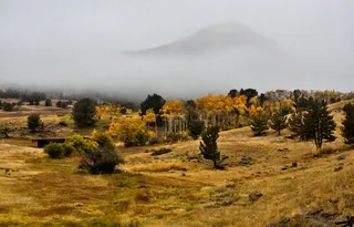 Autumn colors under a foggy mountain, on the Chief Joseph Highway, Wyoming