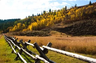 Autumn colors, buck and rail fence, Idaho