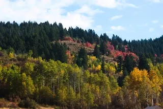 Autumn colors in Eastern Idaho