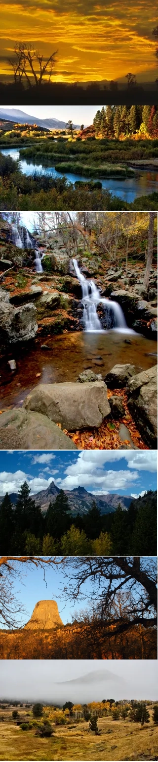 Landscape Greeting Cards