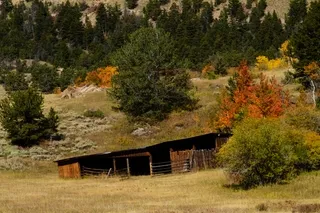 Cabin on Chief Joseph Highway