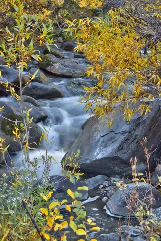Mosquito Creek
