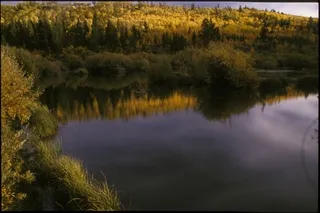 Beaver pond autumn
